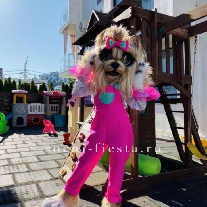 Аниматор Гламурная Собака в Тамбове