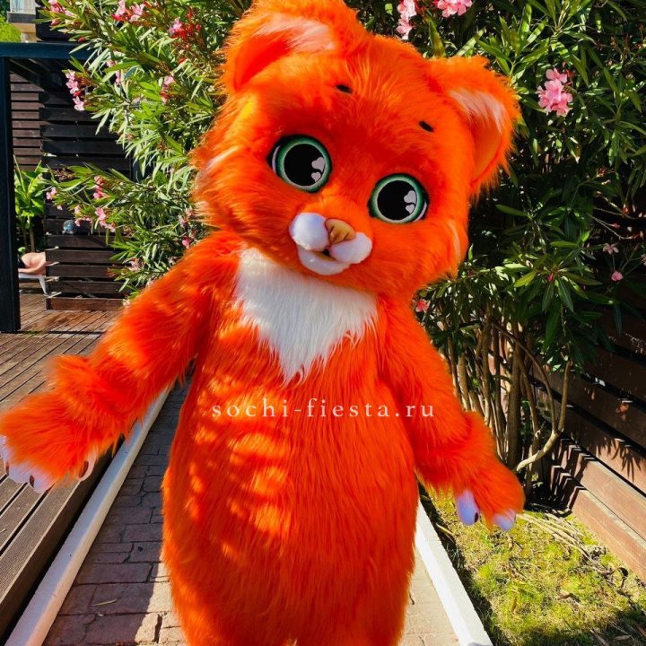 Аниматор Котик в Тамбове