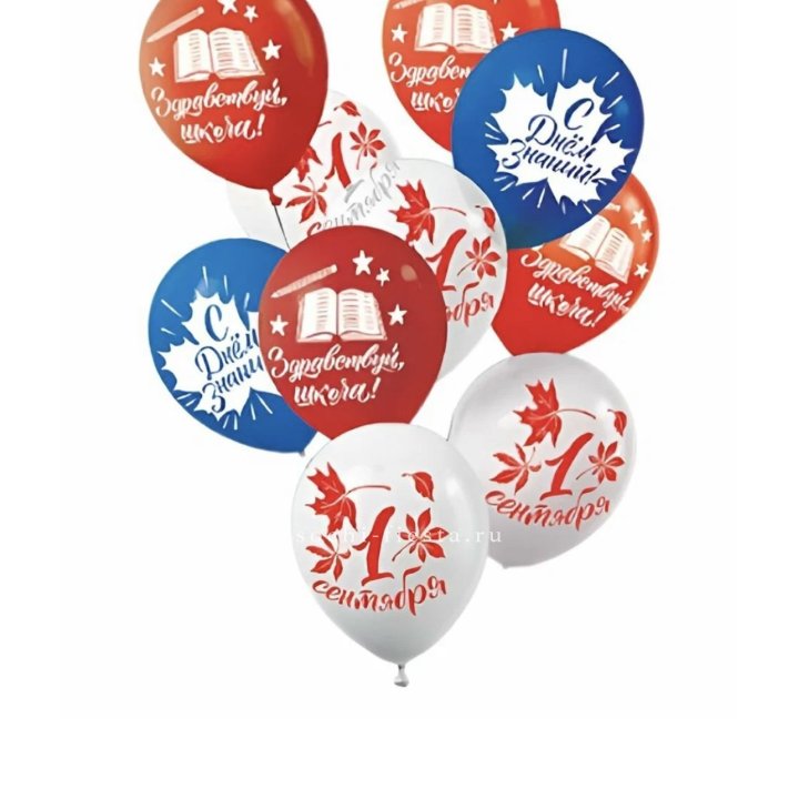 Воздушный шар на день знаний в Тамбове