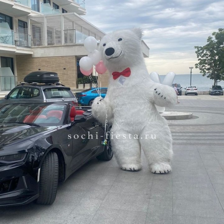 Аниматор Белый Медведь в Тамбове