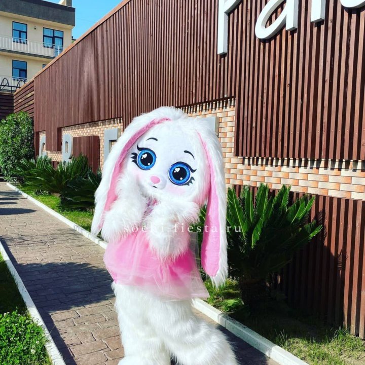 Аниматор Зайка в Тамбове