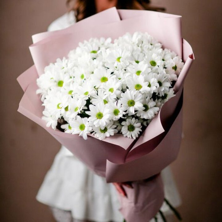 Букет хризантем №2 в Тамбове