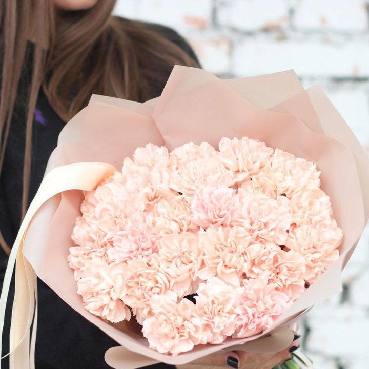 Диантусы №2 в Тамбове