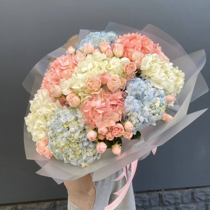 Дуо гортензии и бомбастик в Тамбове