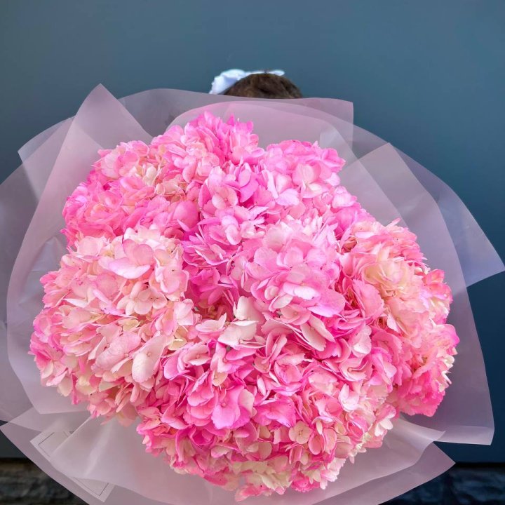 9 ярко розовых гортензий в Тамбове