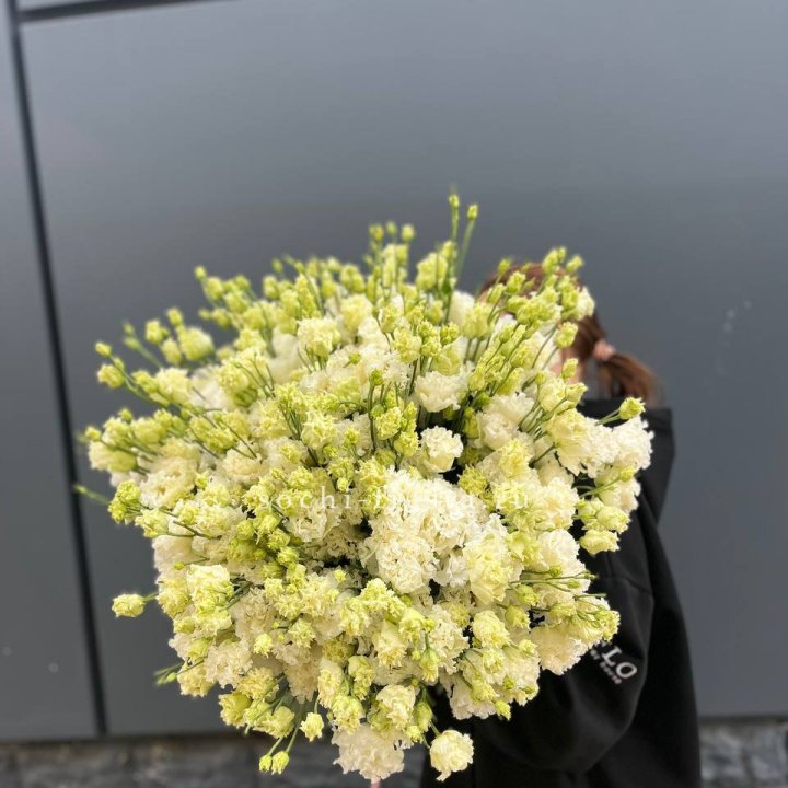 51 белая эустома в Тамбове