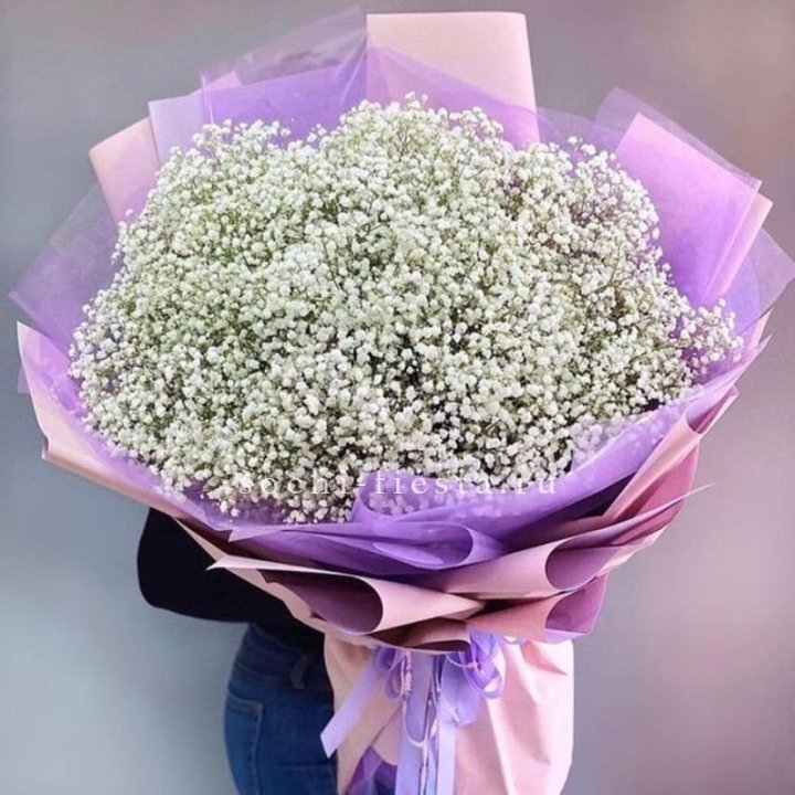 Облако белых гипсофил в Тамбове