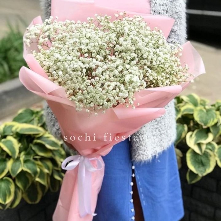 Белоснежные гипсофилы в Тамбове