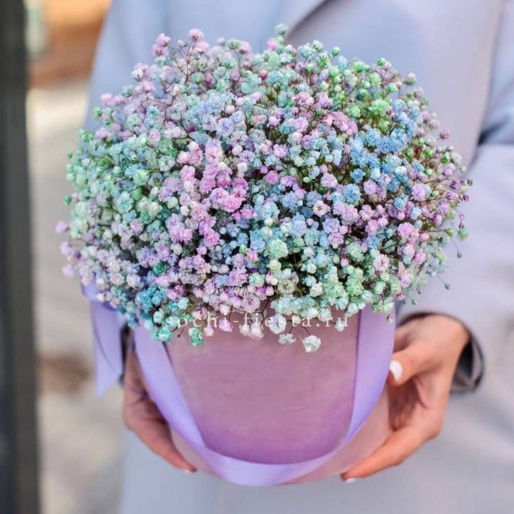 Гипсофилы в шляпной коробке "Кандилайт" в Тамбове