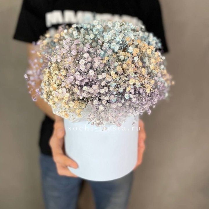 9 Радужных гипсофил в шляпной коробке в Тамбове