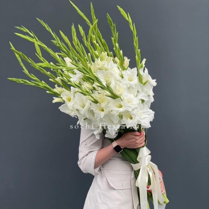 19 белых гладиолусов под ленту в Тамбове