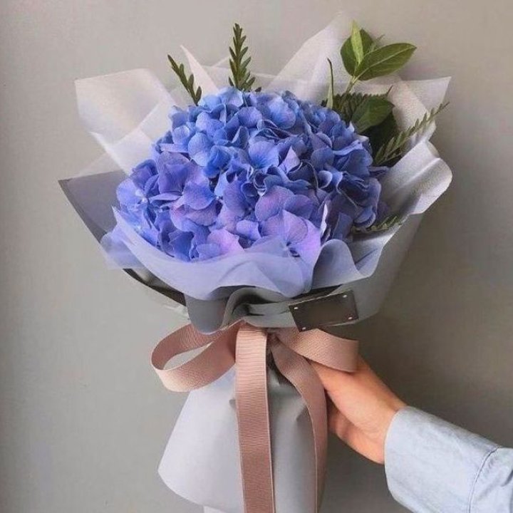 Гортензия голубая в Тамбове