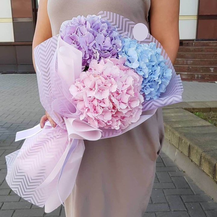 Букет гортензий "Пуф" в Тамбове