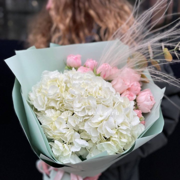 Гортензия "Жасмин" в Тамбове