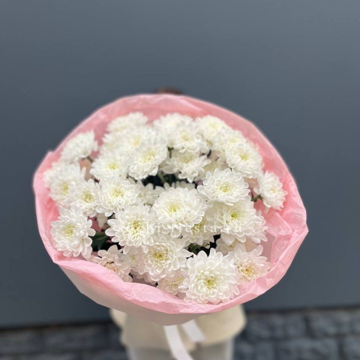  5 хризантем  в Тамбове