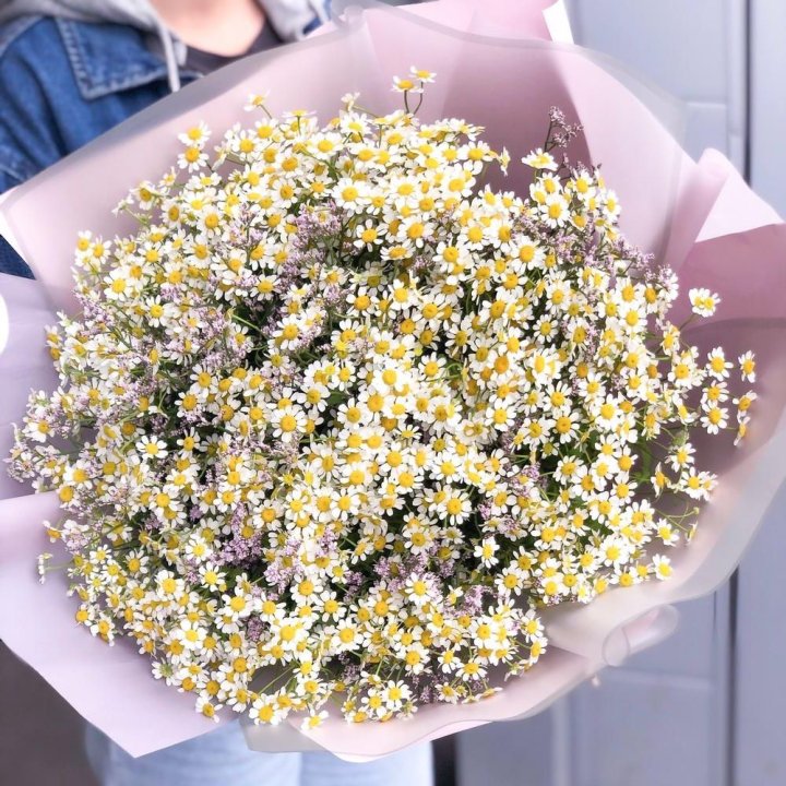 Букет ромашек №1 в Тамбове