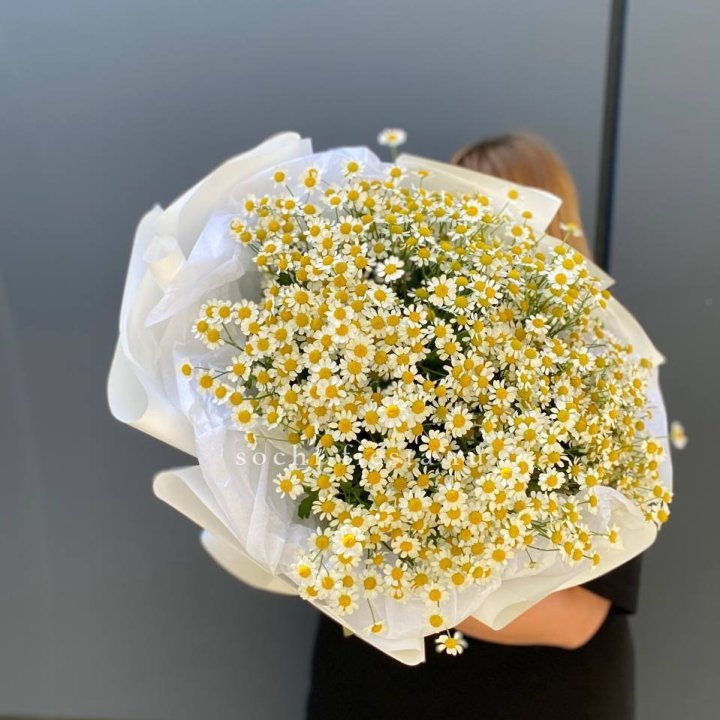 Букет ромашек "Фемели" в Тамбове