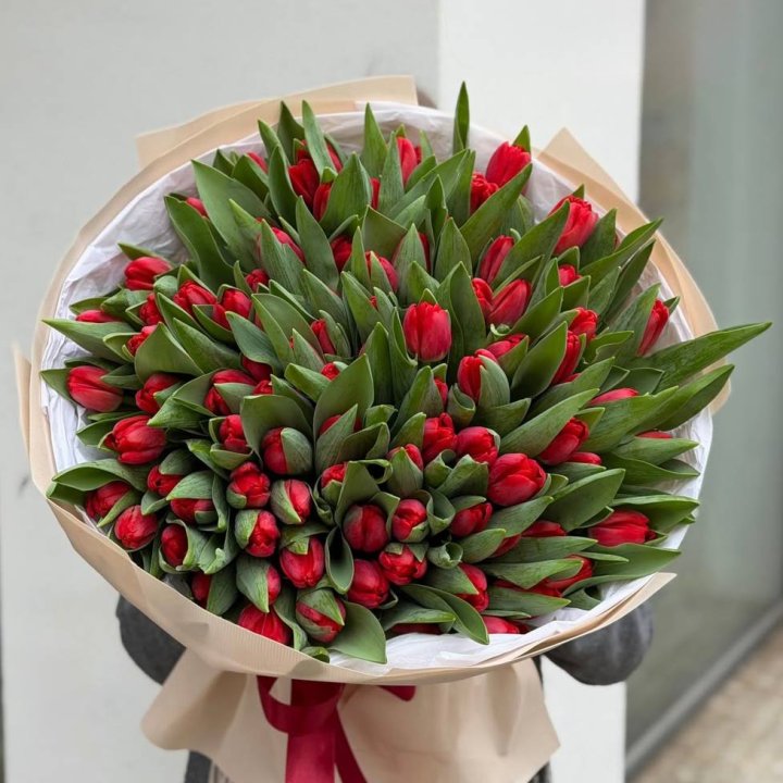 101 красный тюльпан в Тамбове