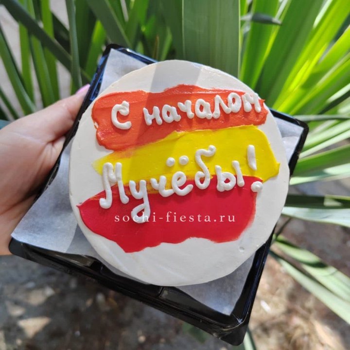 Бенто-торт "С началом учёбы"" в Тамбове