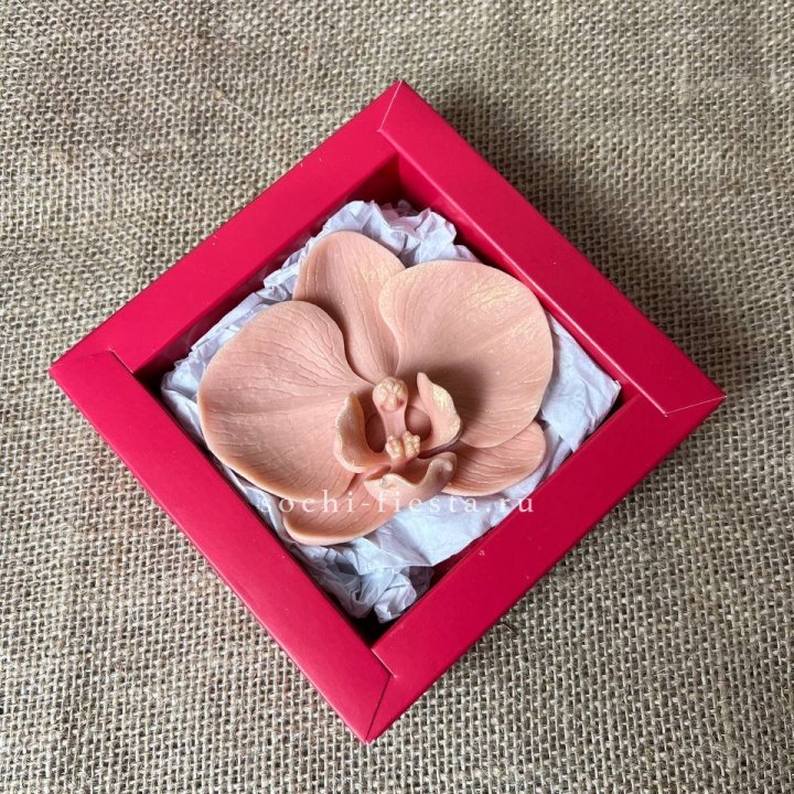 Бельгийский шоколад Орхидея в Тамбове