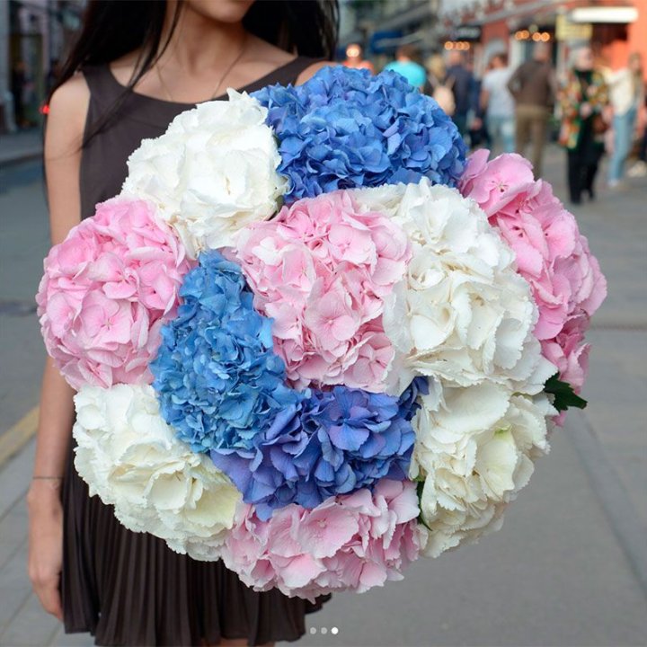 Букет гортензий "Инь-Янь" в Тамбове