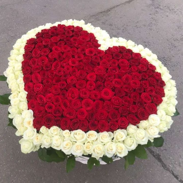 333 розы в корзине в Тамбове