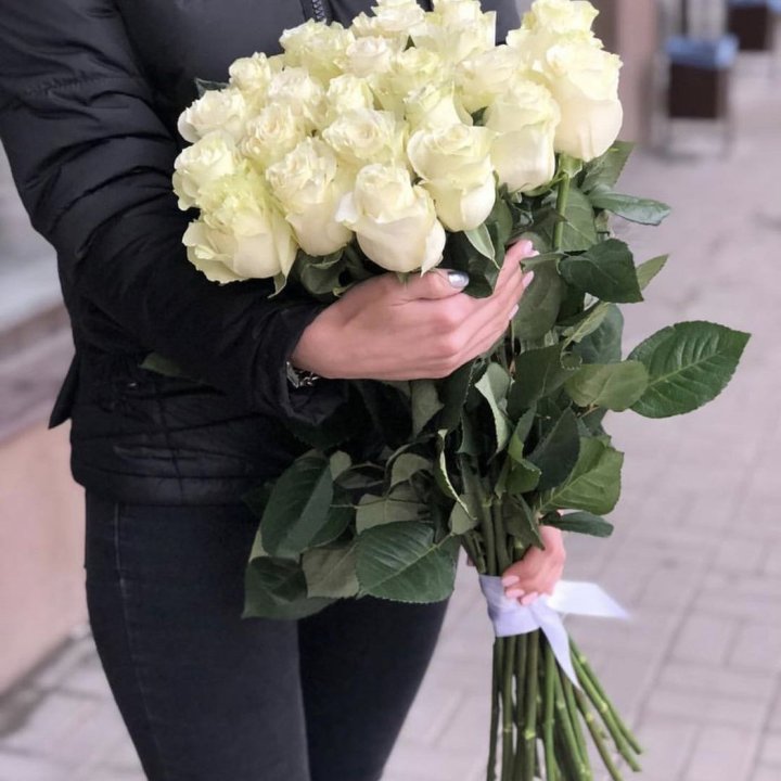 Голландские розы белые в Тамбове