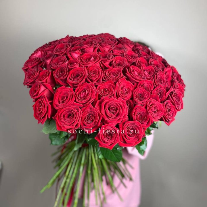 101  голландская роза  в Тамбове