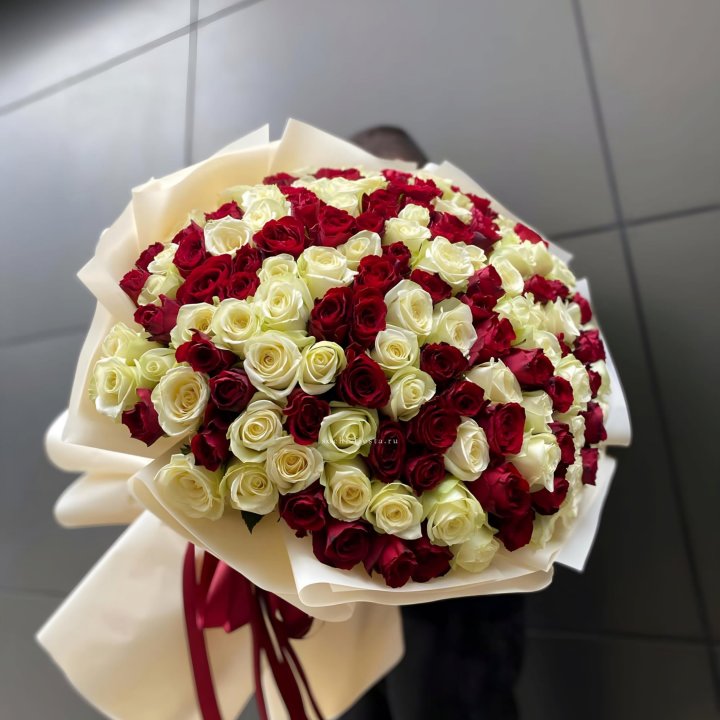 101 высокая импортная роза  в Тамбове