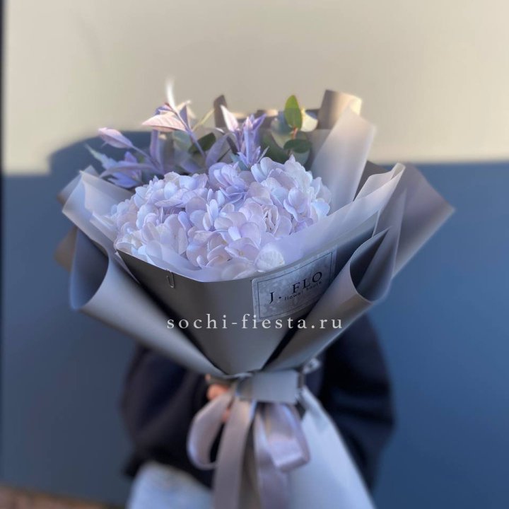 Гортензия "Виолета" в Тамбове