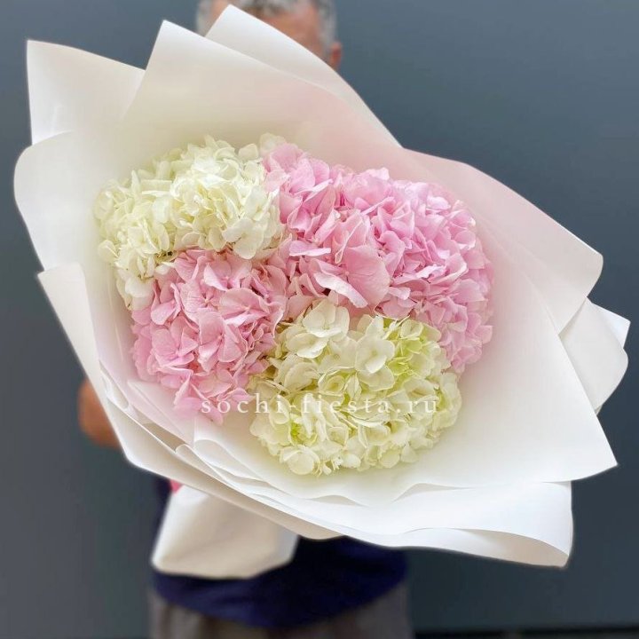 Букет гортензий №5 в Тамбове