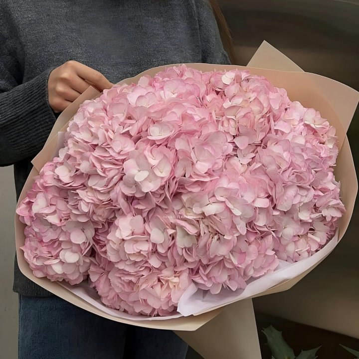 Гортензия  "РОЗЕ" в Тамбове