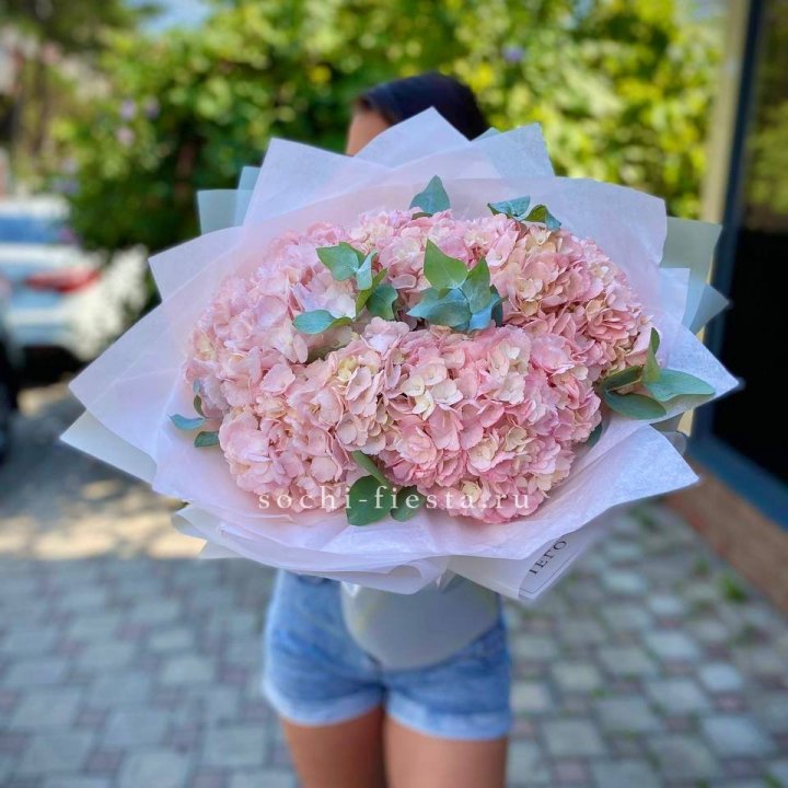 5 розовых гортензий  в Тамбове