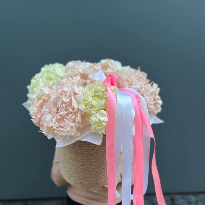 7 гортензий в кашпо в Тамбове