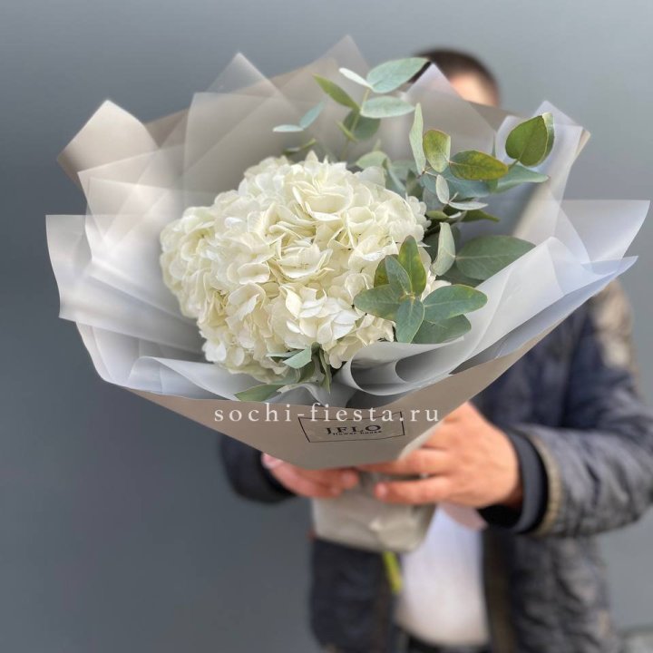  Букет  из белой гортензии в Тамбове