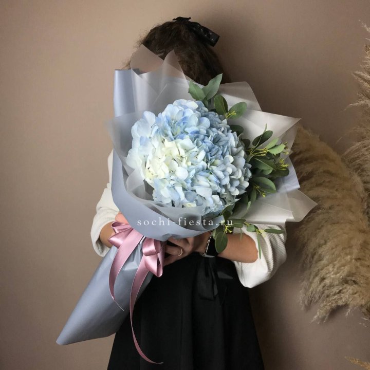 Гортензия Уно в Тамбове