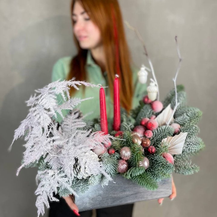 Бокс красный с нобилисом в Тамбове