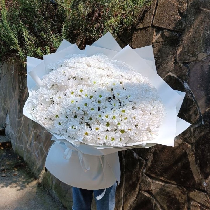 Облако хризантем №2 в Тамбове