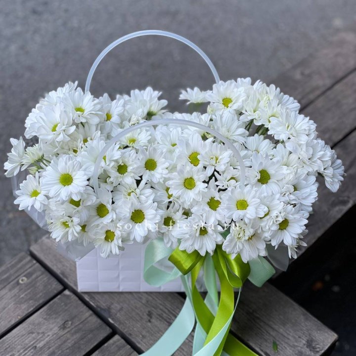 Сумка с хризантемами ромашками в Тамбове