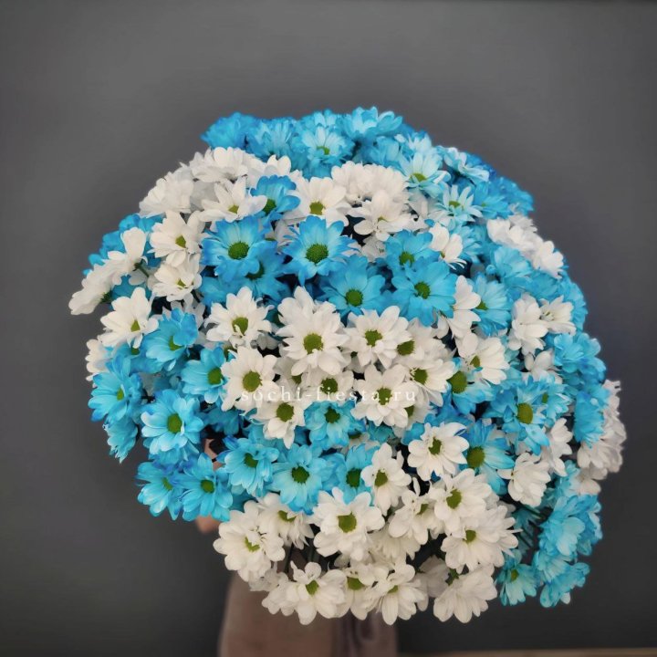  Букет хризантем микс в Тамбове