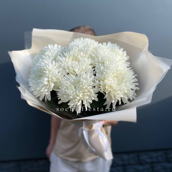 Профитроли в Тамбове