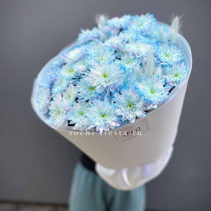  Букет нежно-голубых хризантем  в Тамбове