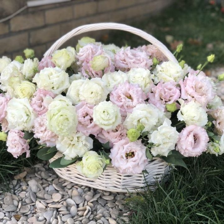 Корзина с эустомой в Тамбове