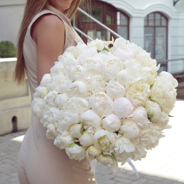 51 белый пион в Тамбове