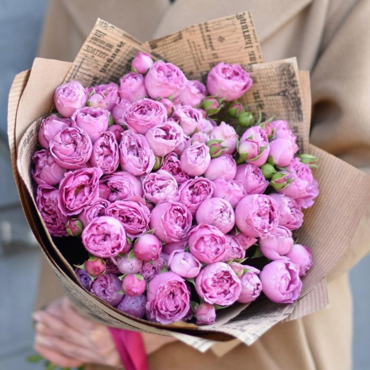 Роза Мисти Баблс в Тамбове