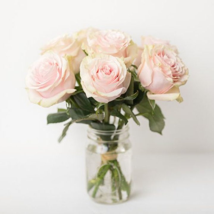 7 кремовых роз в Тамбове