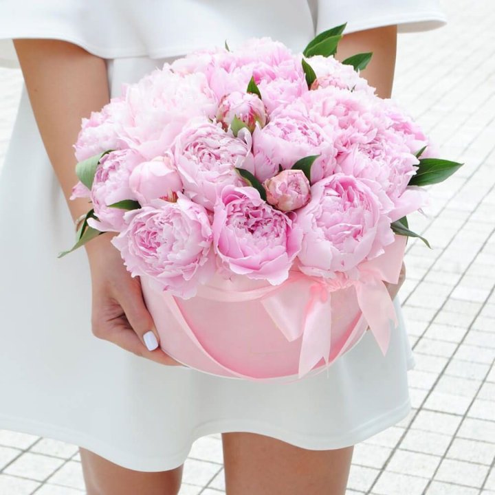 Пионы в шляпной коробке в Тамбове