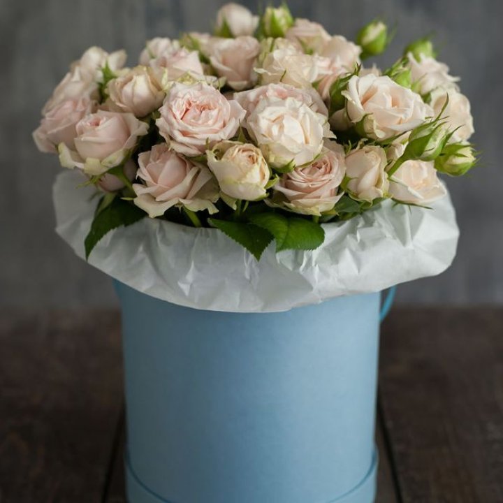 Бокс с бомбастиком в Тамбове