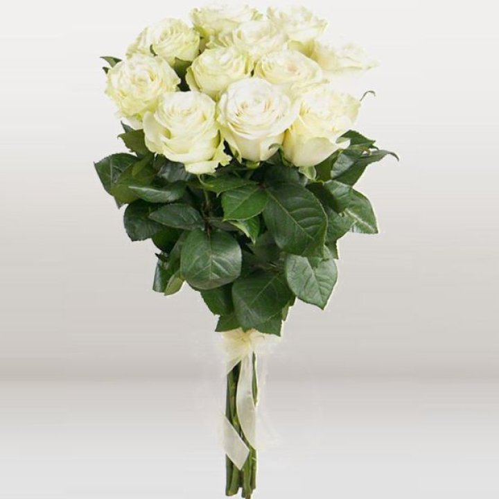 11 белых голландских роз в Тамбове