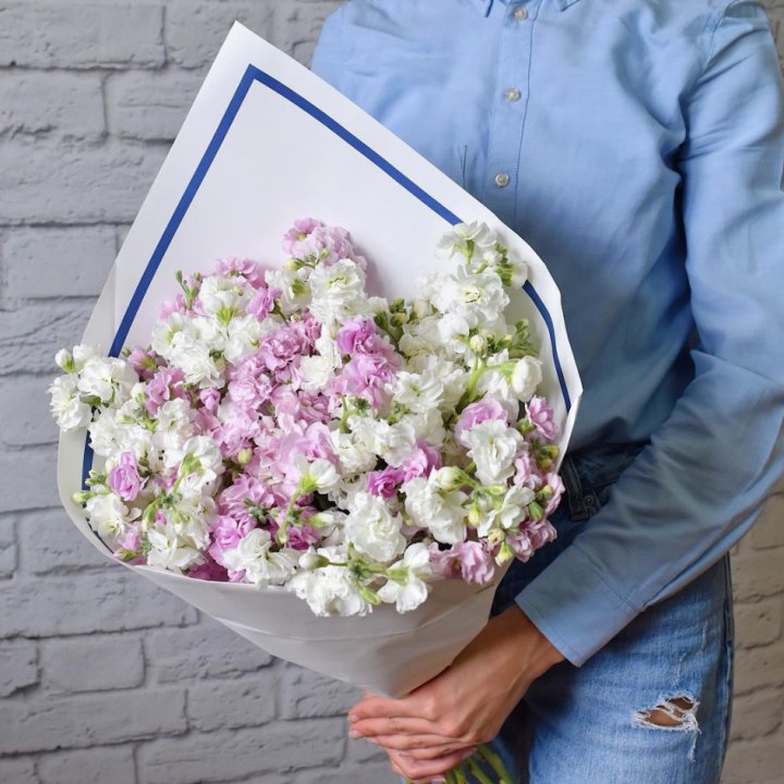 Маттиола в Тамбове